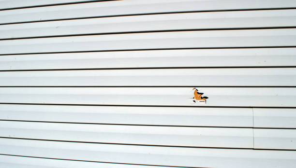 Crownsville, MD Siding Installation & Repair Company